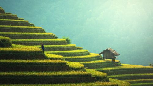 singapore-news